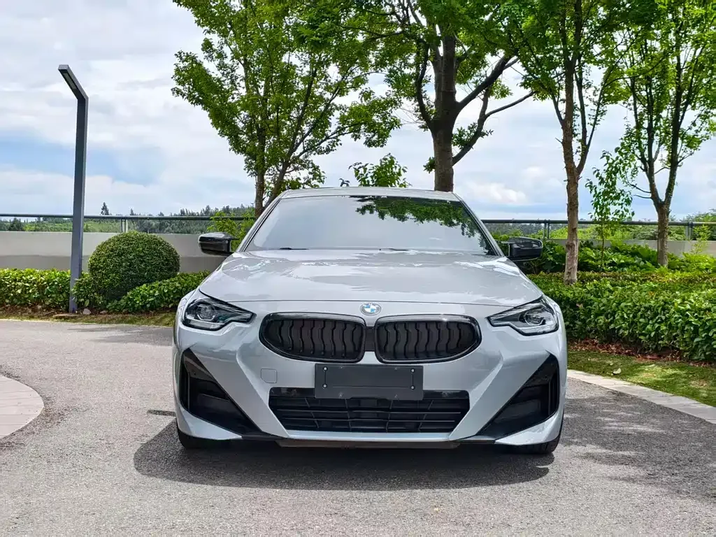 BMW 2 Series (Import) — фото 7