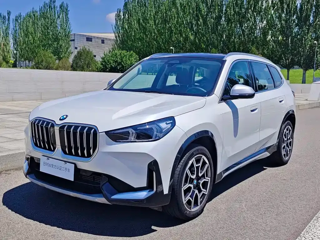 BMW X1 — фото 1