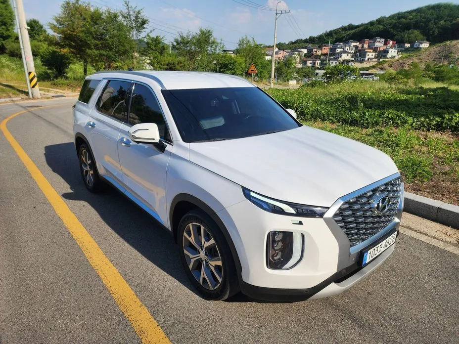 Hyundai Palisade — фото 1