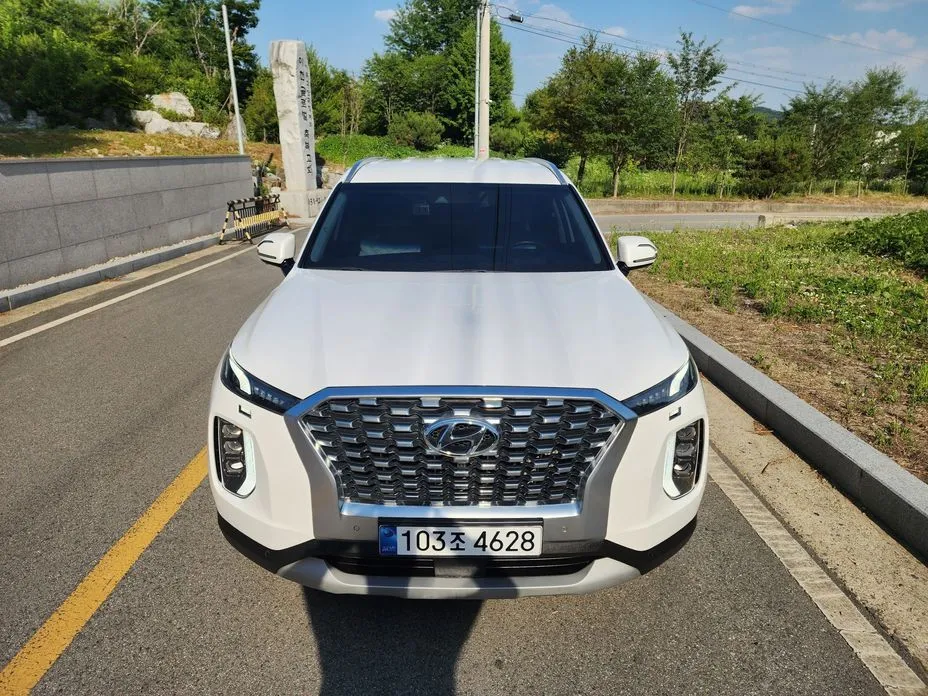 Hyundai Palisade — фото 10