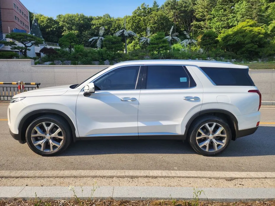 Hyundai Palisade — фото 9