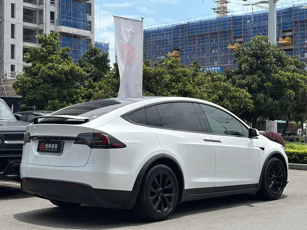 Tesla Model X — фото 10