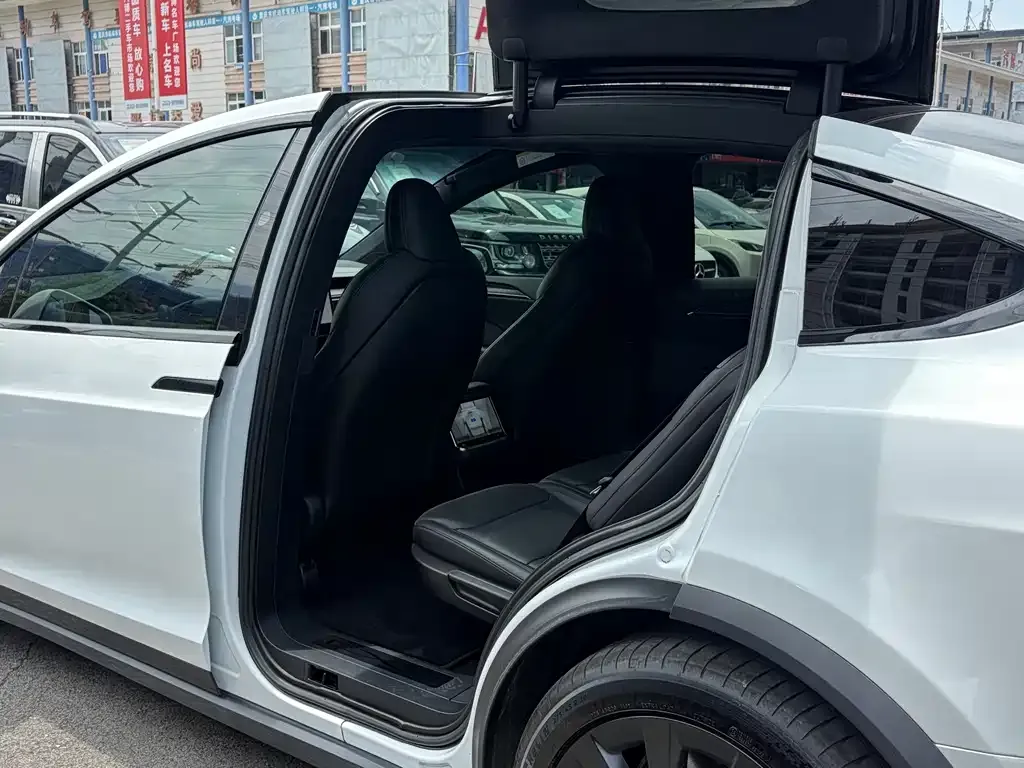 Tesla Model X — фото 7