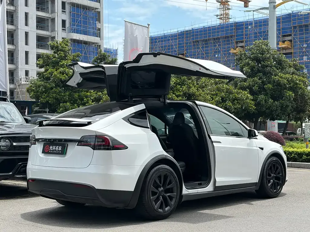 Tesla Model X — фото 8