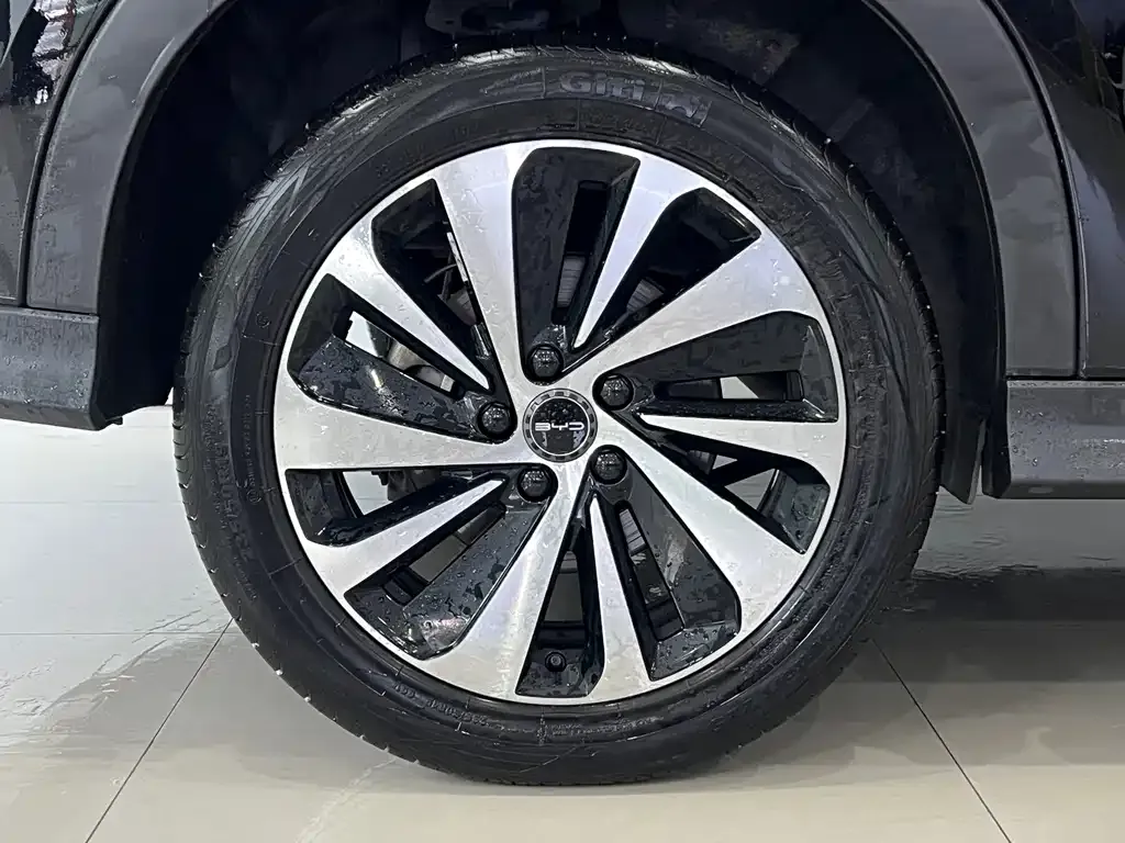 BYD PLUS New Energy — фото 10