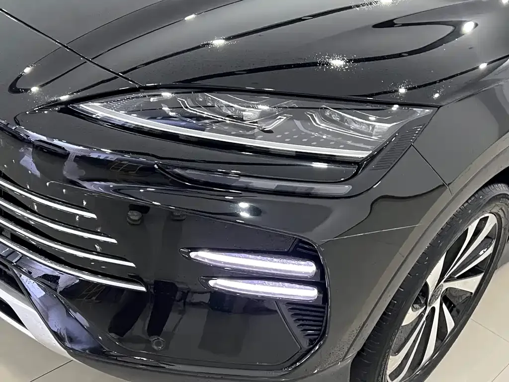 BYD PLUS New Energy — фото 4