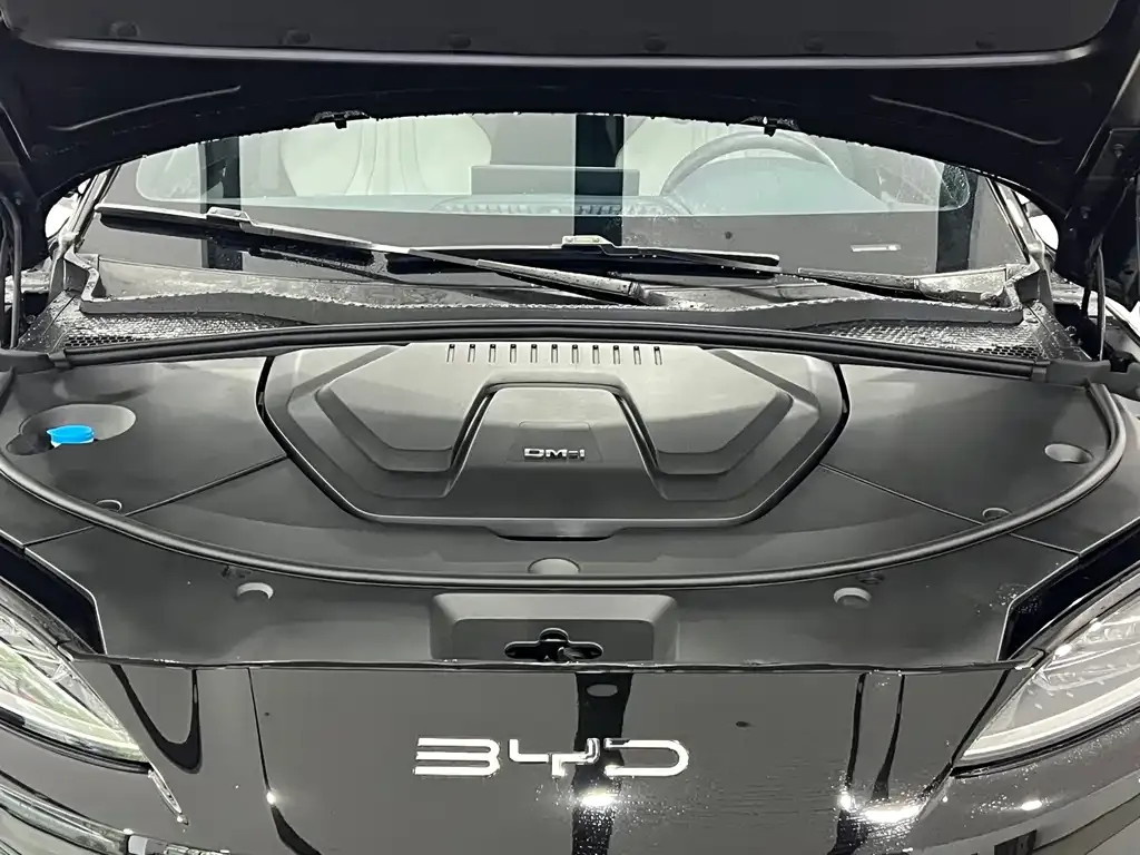 BYD PLUS New Energy — фото 9
