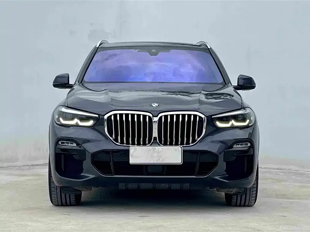 BMW X5 (Import) 2021 из CN, фото 3