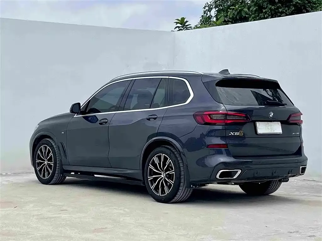 BMW X5 (Import) 2021 из CN, фото 7