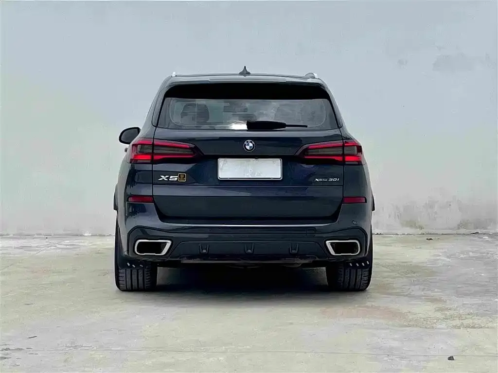 BMW X5 (Import) 2021 из CN, фото 6