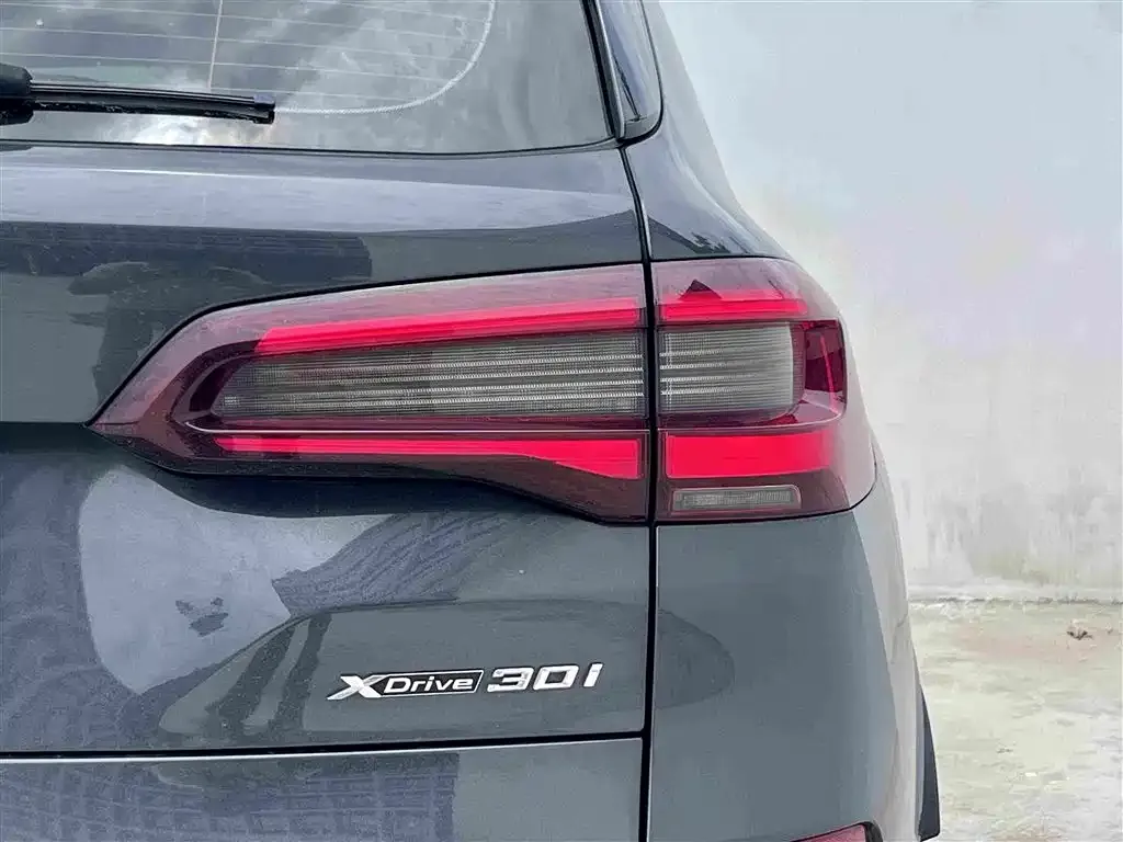 BMW X5 (Import) 2021 из CN, фото 4