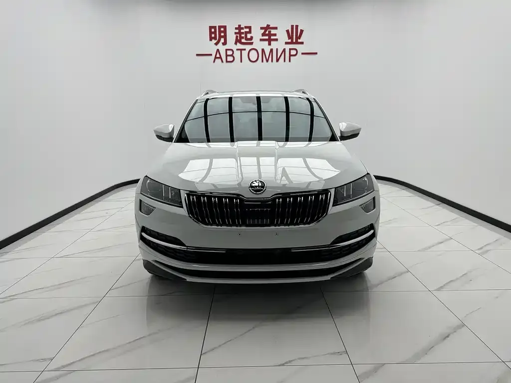 Skoda Karoq — фото 8