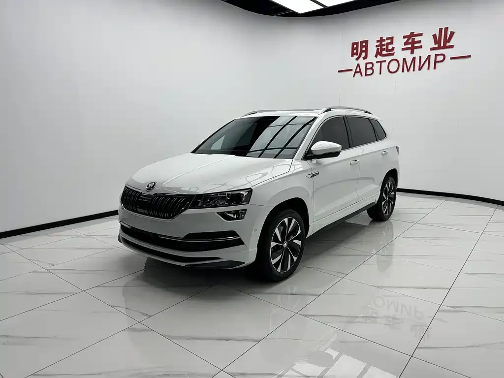 Skoda Karoq — фото 6