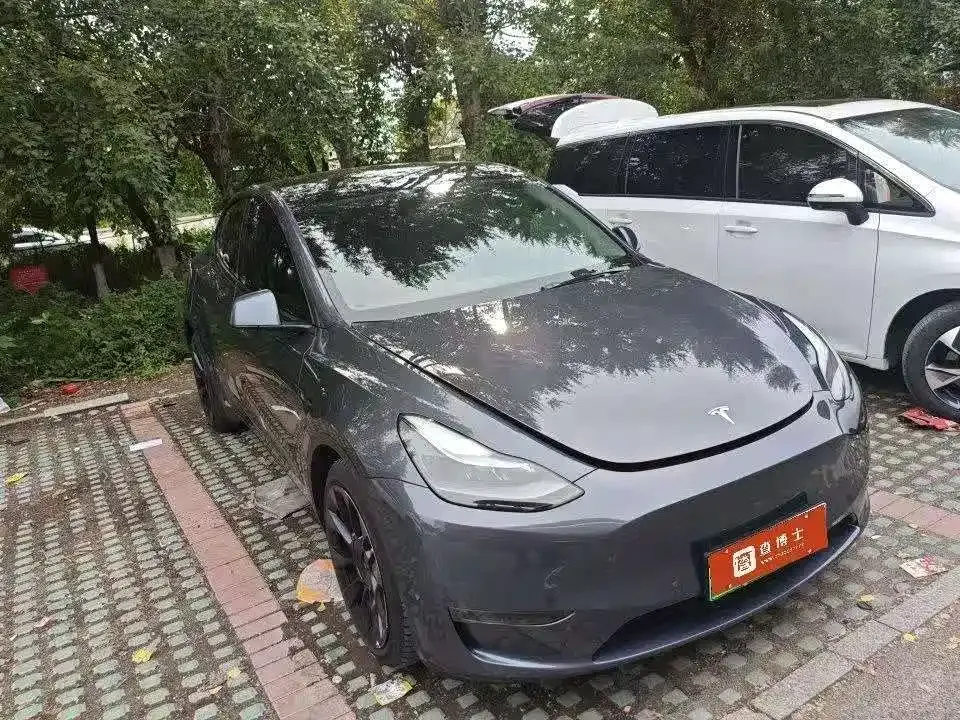 Tesla Model Y — фото 2
