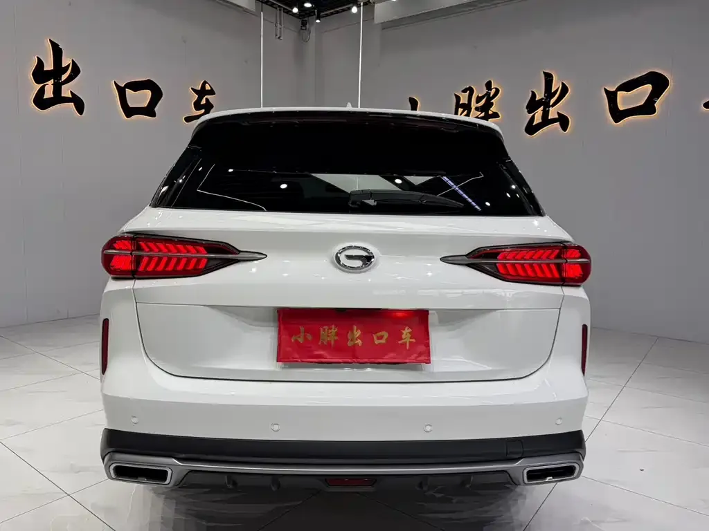 GAC Motor GS4 Plus 2023 из CN, фото 2