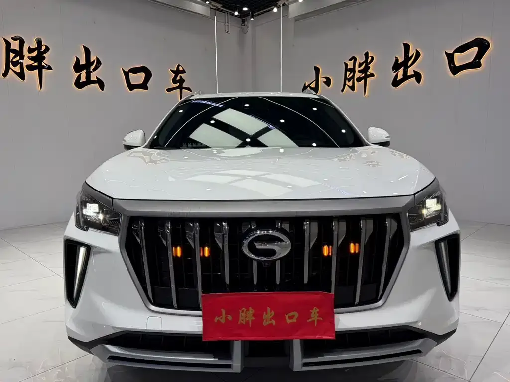 GAC Motor GS4 Plus 2023 из CN, фото 6