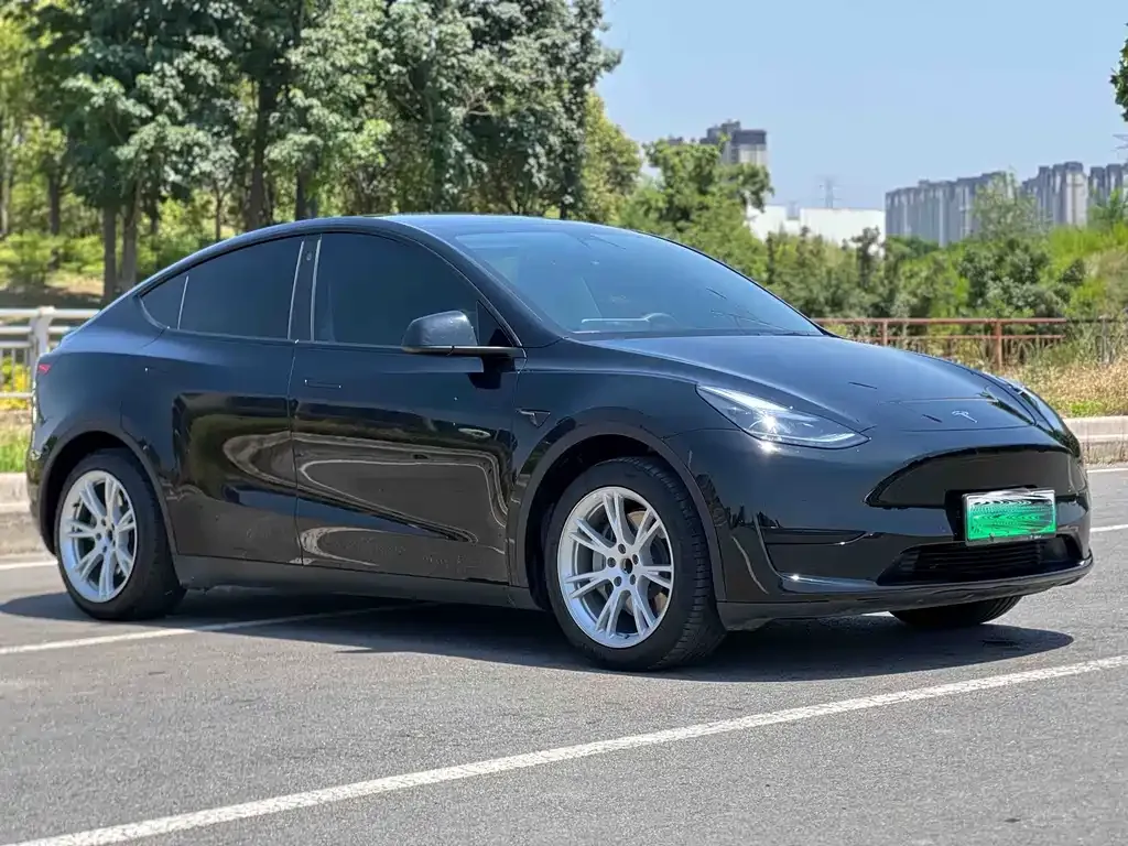 Tesla Model Y — фото 5
