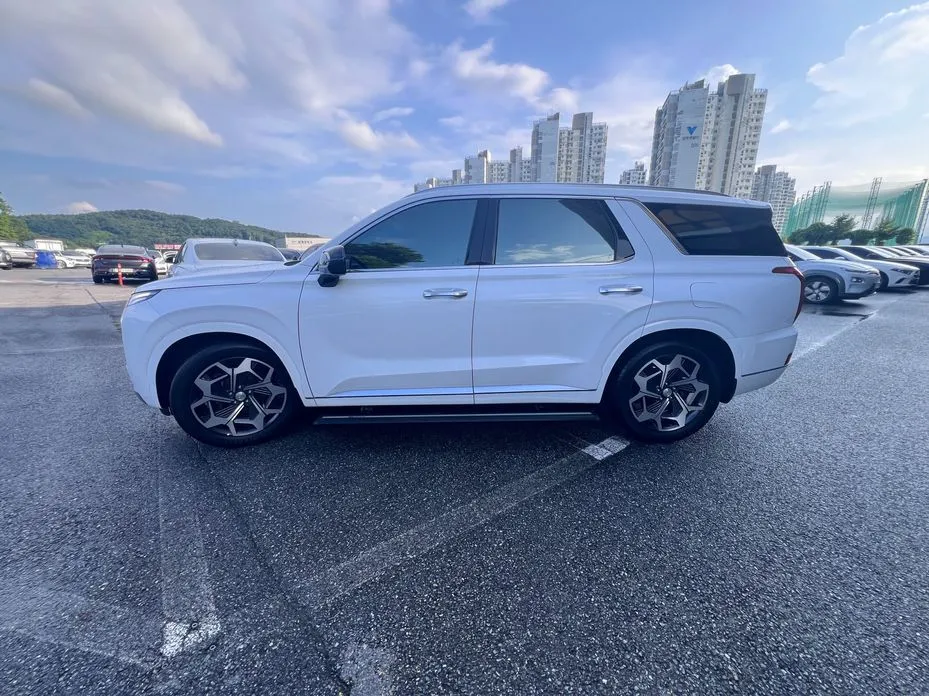 Hyundai Palisade — фото 6