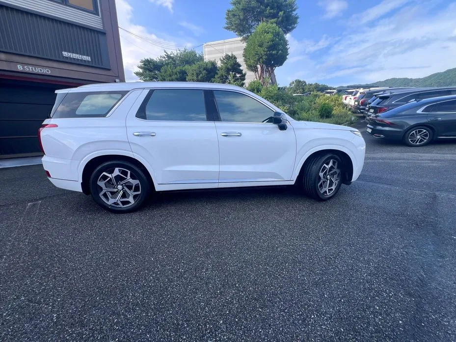 Hyundai Palisade — фото 9