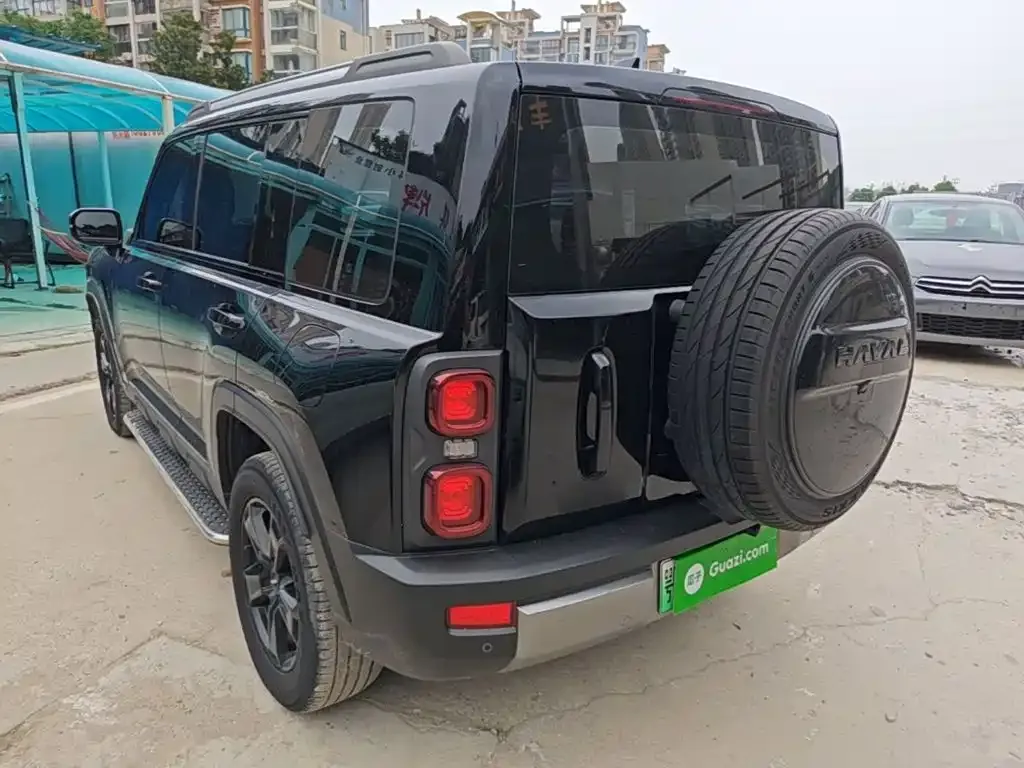 Haval Menglong New Energy 2024 из CN, фото 6