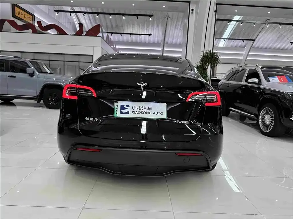Tesla Model Y — фото 8