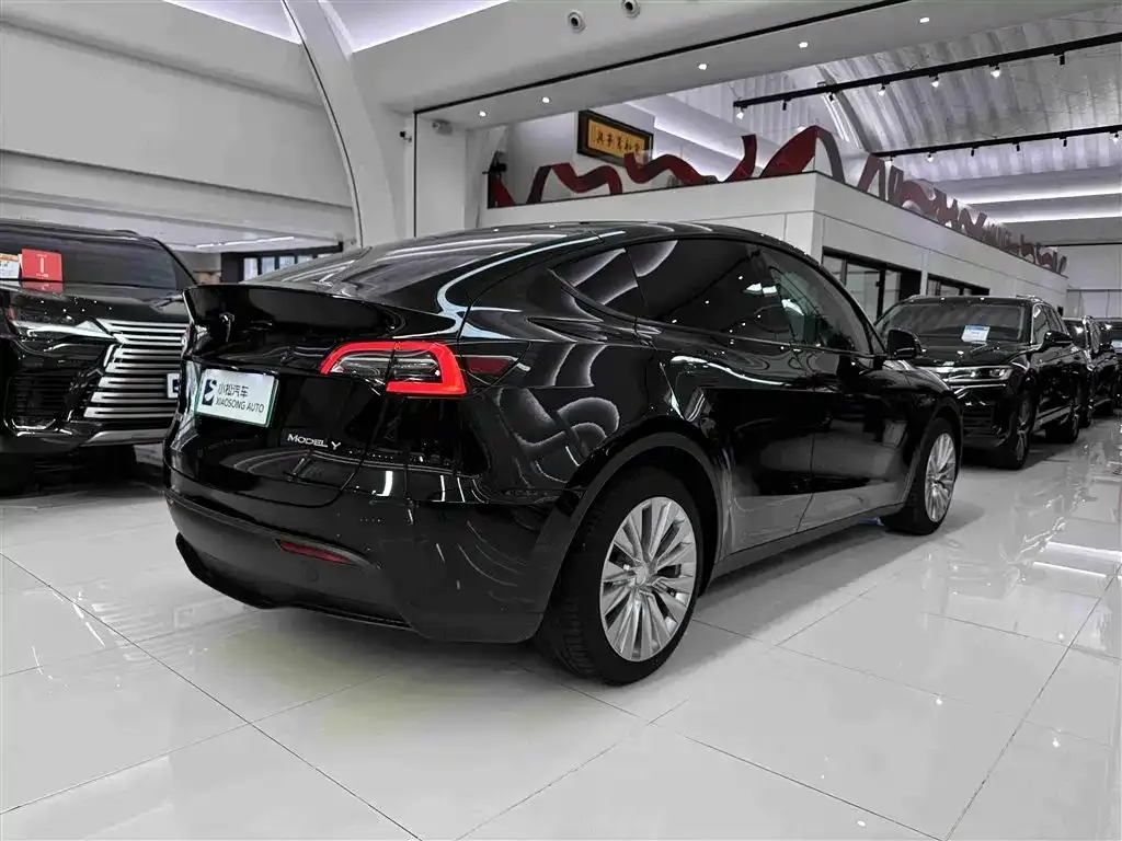 Tesla Model Y — фото 10