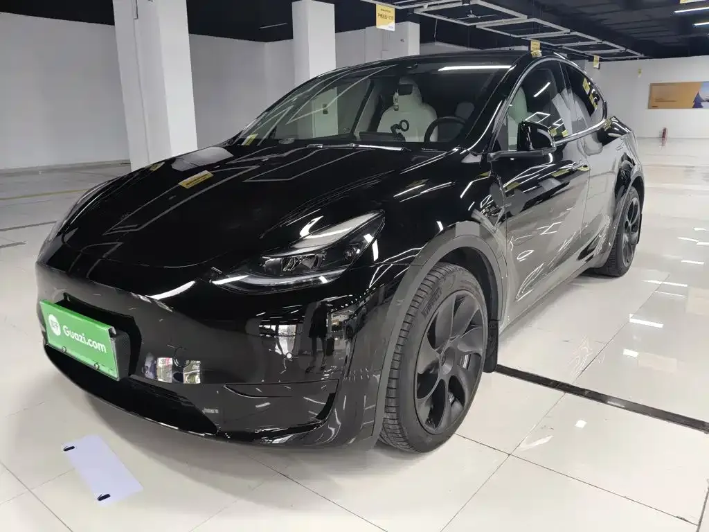 Tesla Model Y — фото 9