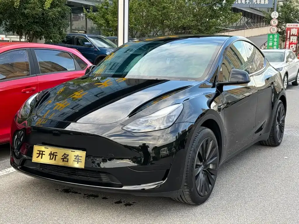 Tesla Model Y — фото 1