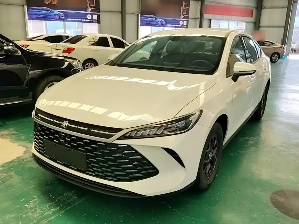 BYD Qin PLUS — фото 3