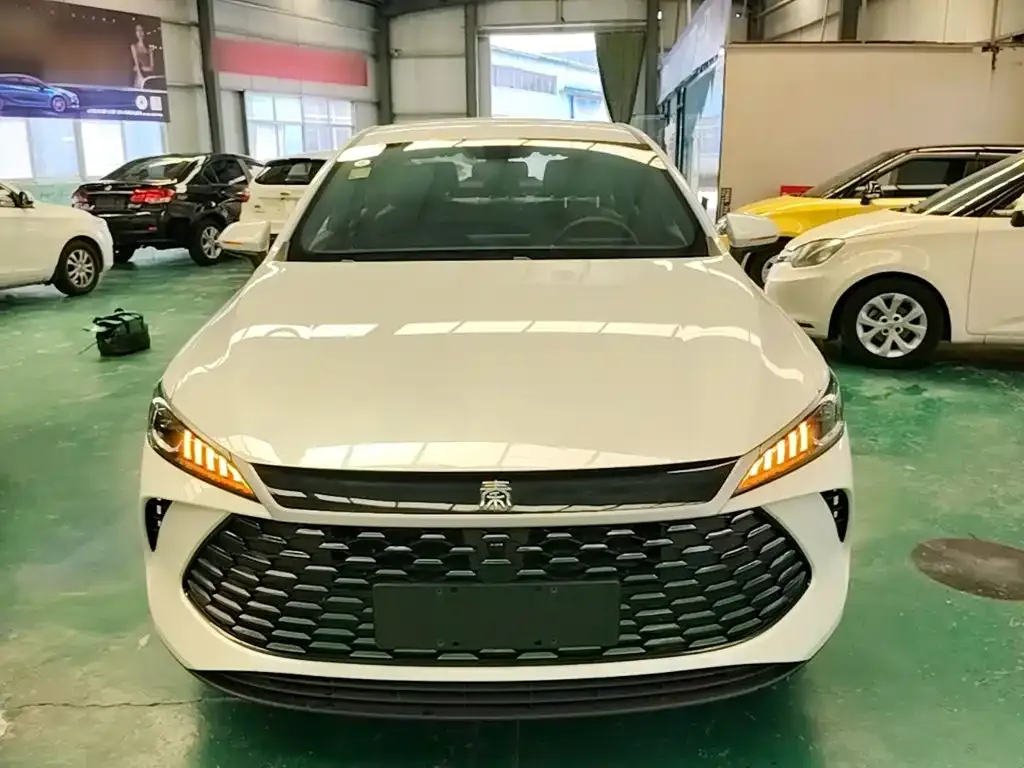 BYD Qin PLUS — фото 9