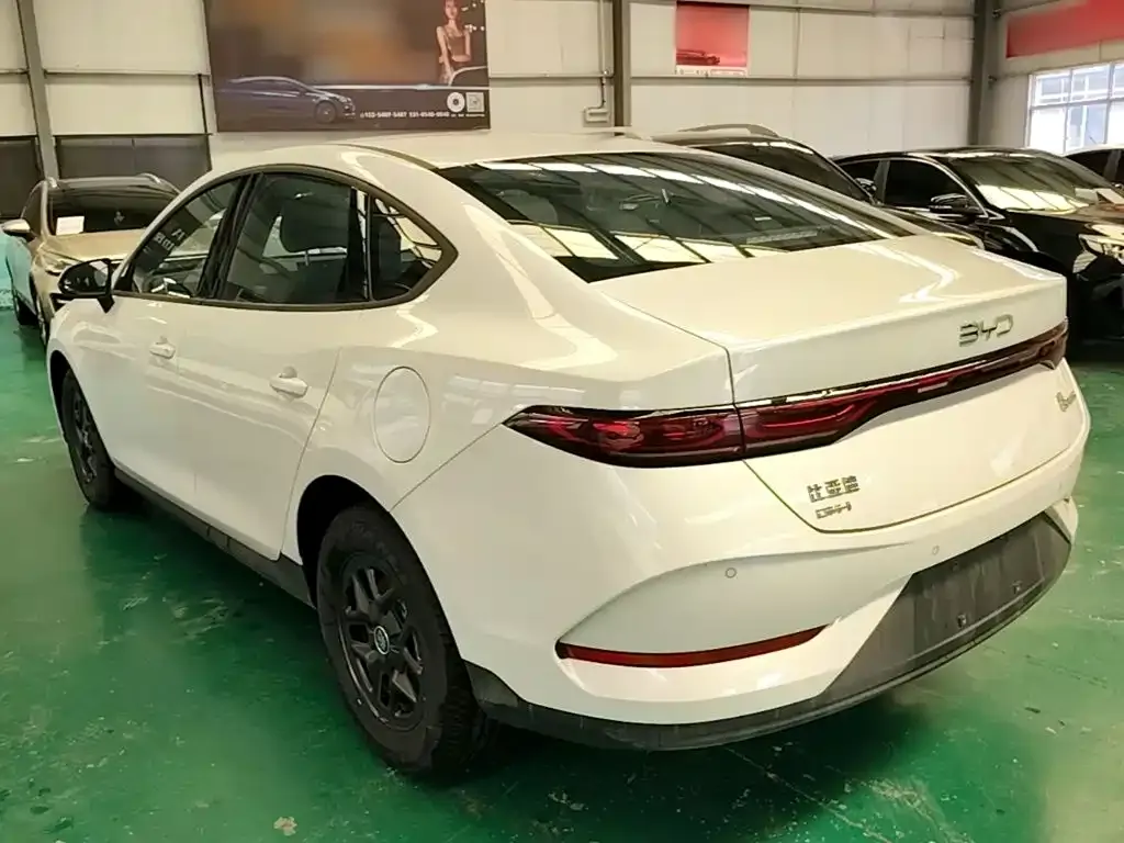 BYD Qin PLUS — фото 2