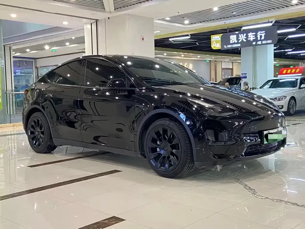 Tesla Model Y — фото 9