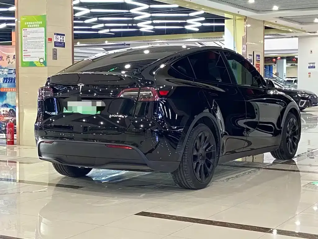 Tesla Model Y — фото 2
