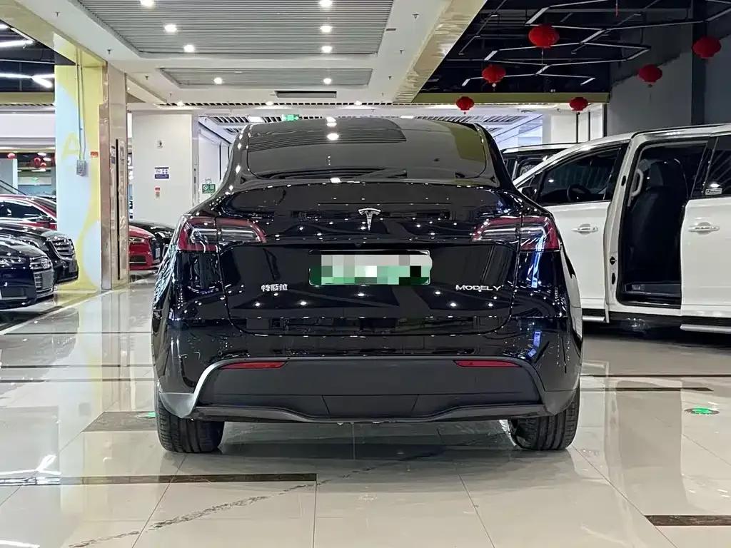 Tesla Model Y — фото 3