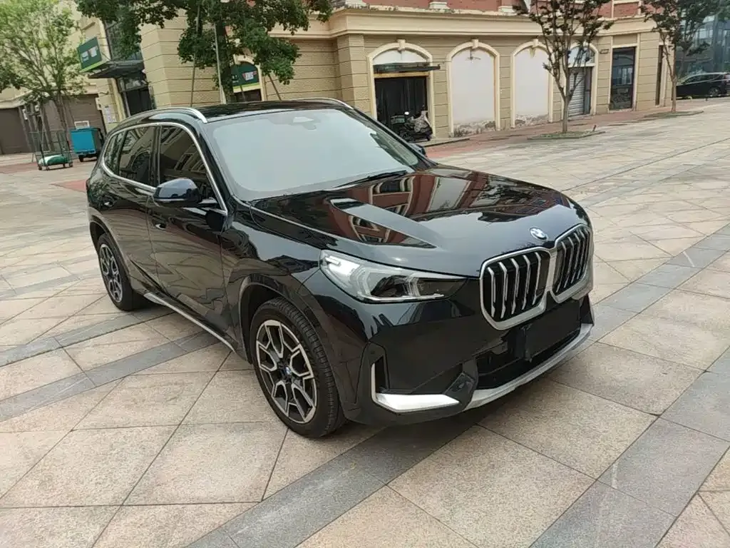 BMW X1 — фото 10