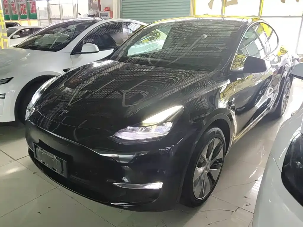 Tesla Model Y — фото 1