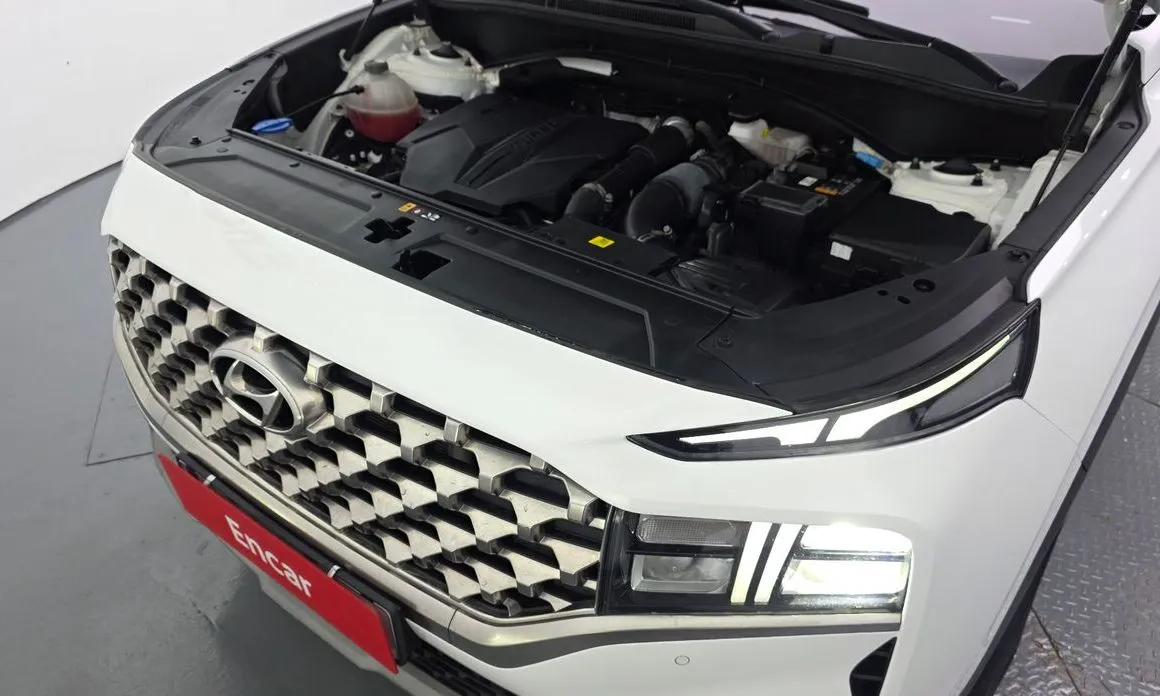 Hyundai Santafe 2023 из KR, фото 9