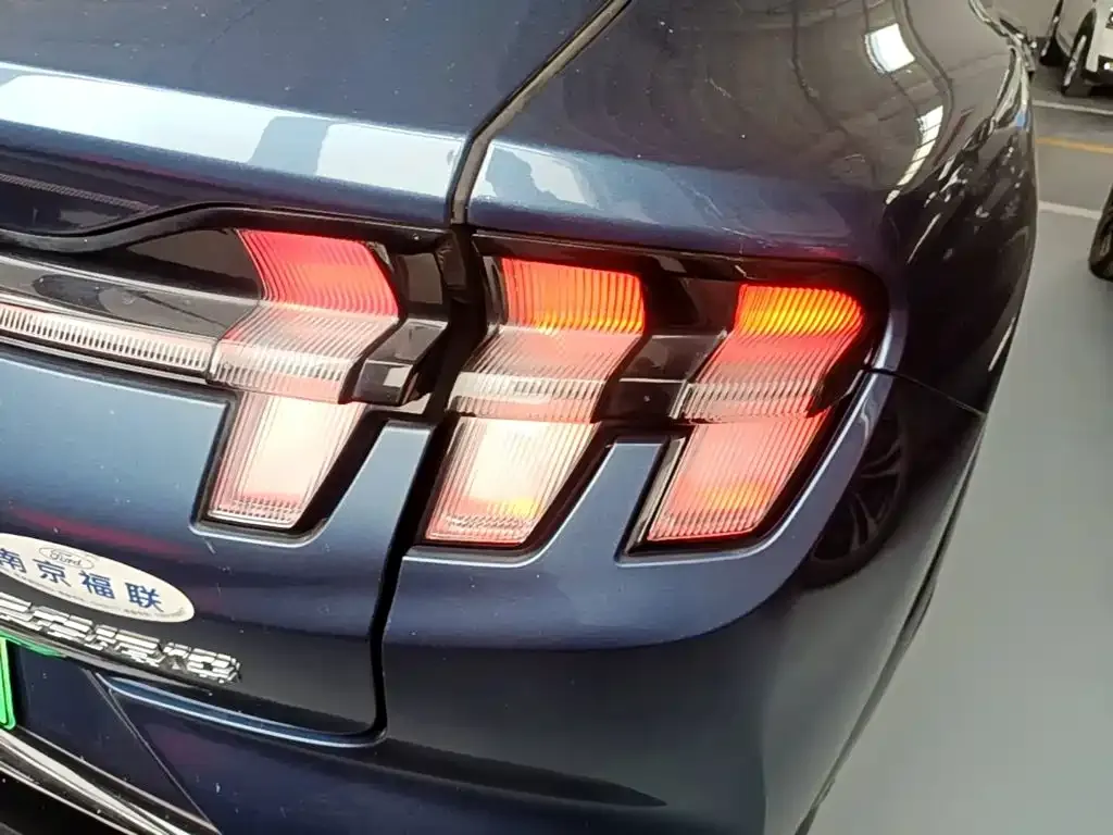 Ford Mustang Mach-E — фото 3