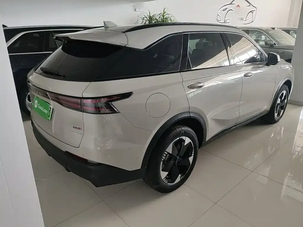 Haval Xiaolong MAX — фото 8