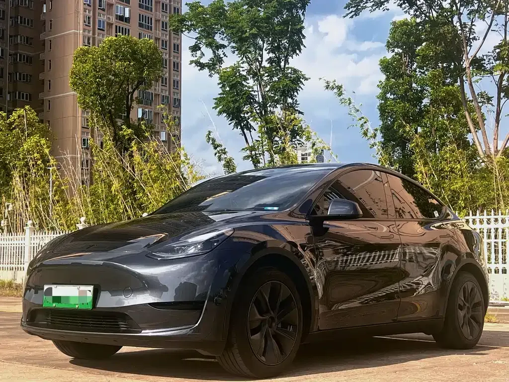 Tesla Model Y — фото 1