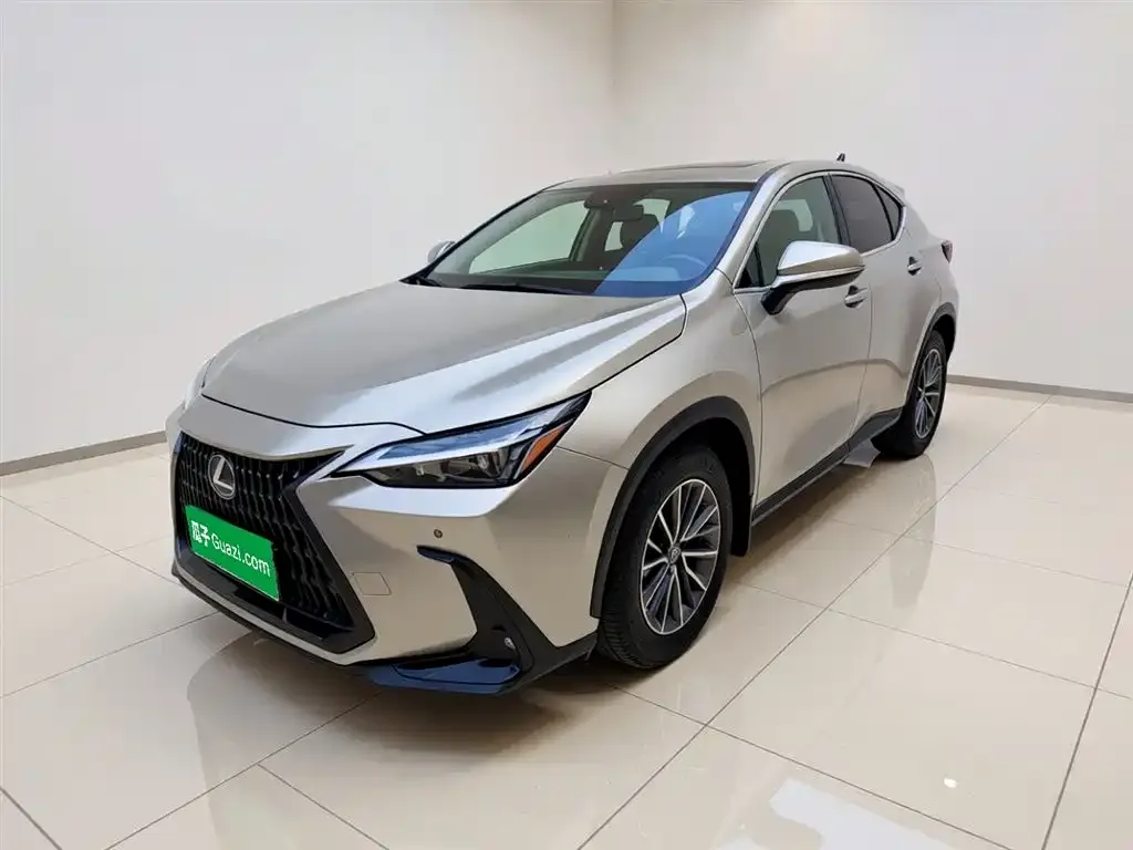Lexus NX New Energy — фото 1