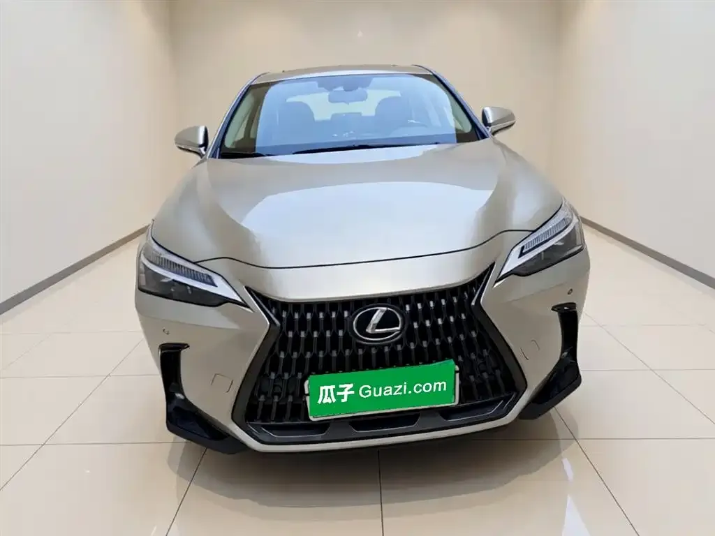 Lexus NX New Energy — фото 5