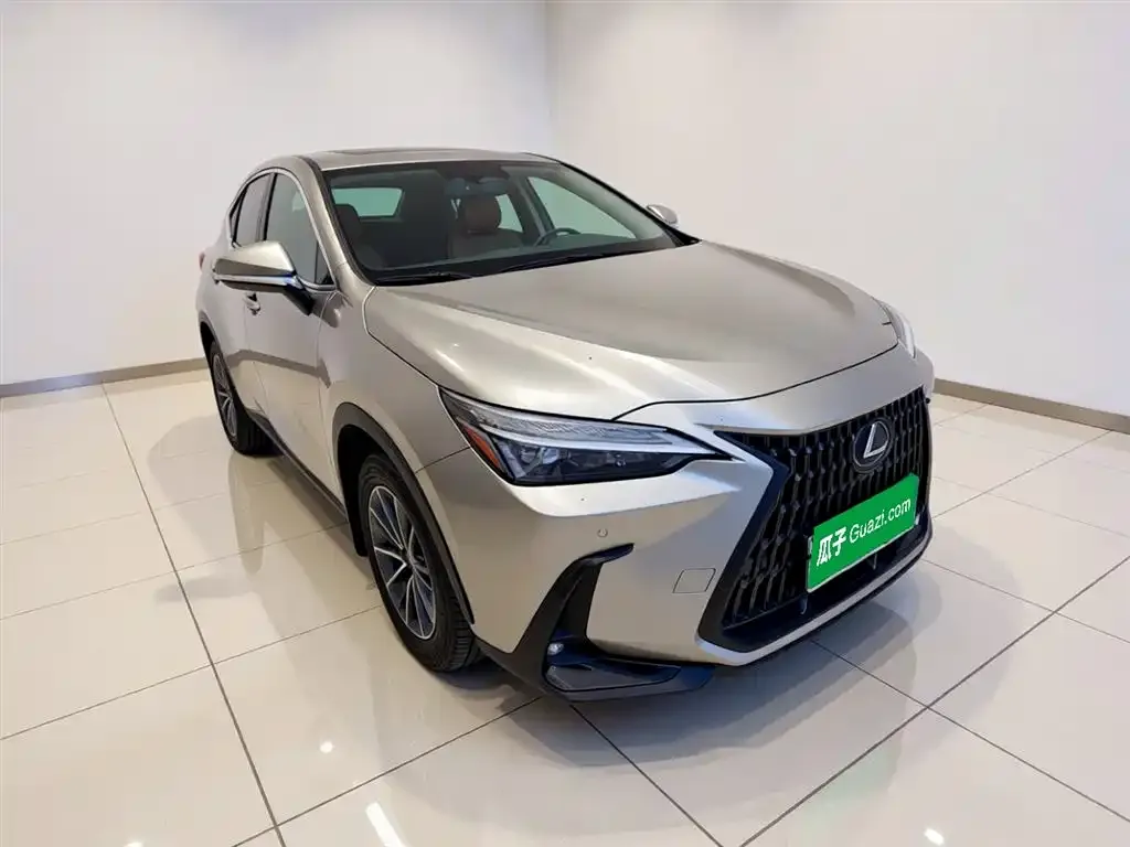 Lexus NX New Energy — фото 3