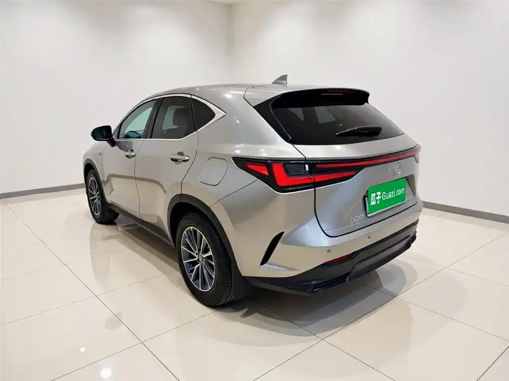 Lexus NX New Energy — фото 2