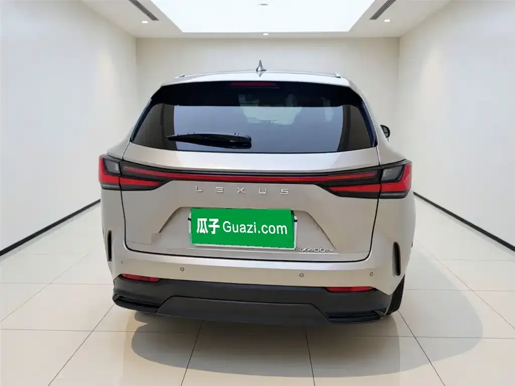 Lexus NX New Energy — фото 4