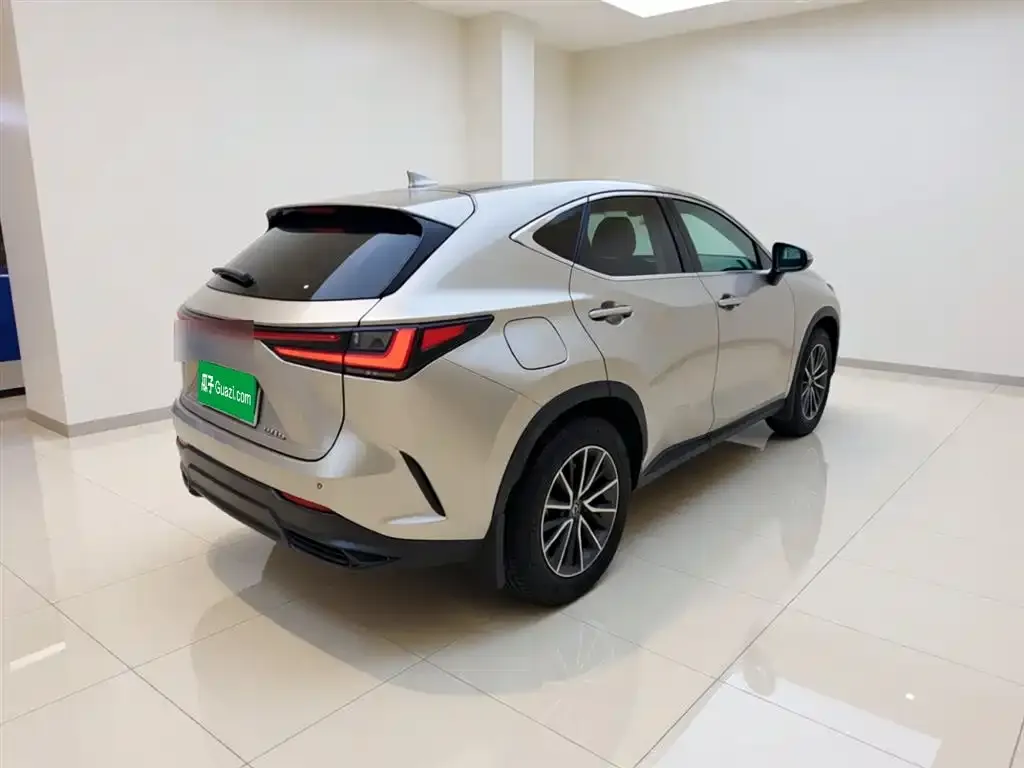 Lexus NX New Energy — фото 7