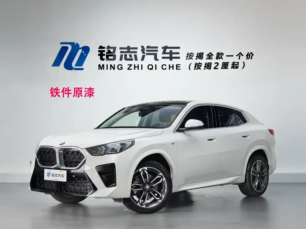 BMW X2 (Import) — фото 1