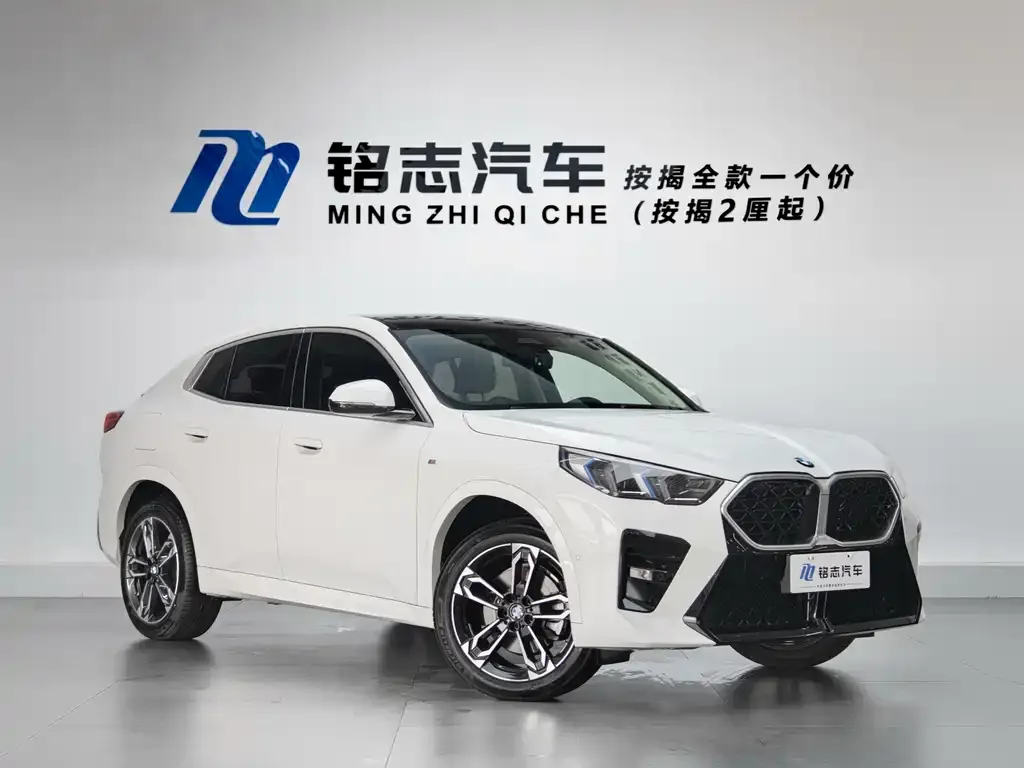 BMW X2 (Import) — фото 6