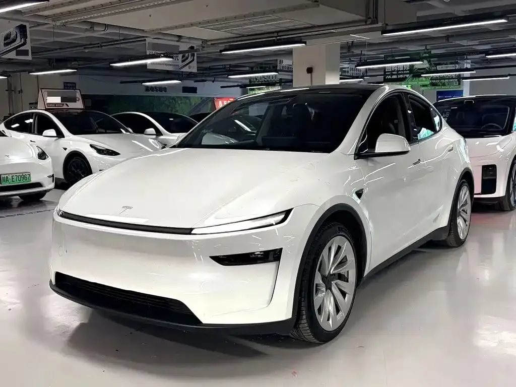 Tesla Model Y — фото 1