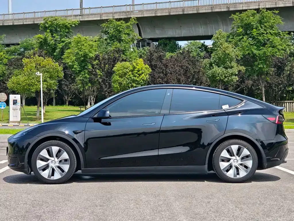 Tesla Model Y — фото 9